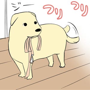 犬との暮らしは面白い 第7回 【歩けない】お散歩が大好きすぎて、飼い主の周りをぐるぐると……