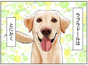 犬種あるある 第7回 【漫画】力強い見た目だが、人懐っこい - ラブラドール編