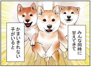 多頭飼いって大変?! 第5回 【漫画】みんな一緒にかまうことができないと……