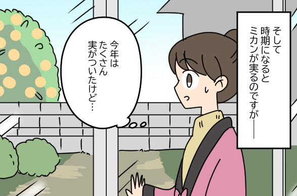 我が家のご近所トラブル 第70回 【漫画】お隣のミカンの木が…