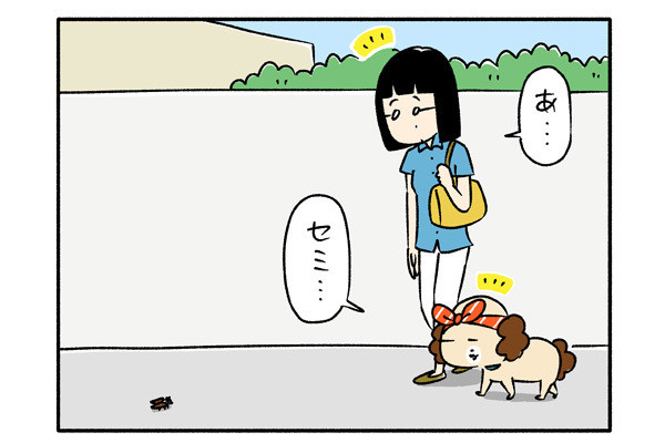 超忠犬ハチコ 第107回 夏の風物詩との出会い