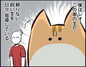 この家の主は僕 第1回 「おい飼い主! 今日の撫ではまだか!」頼りない飼い主にアピールしてみたら…