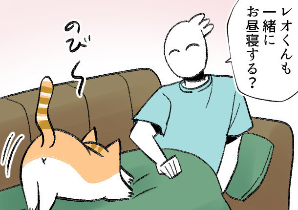 この家の主は僕 第8回 【漫画】「一緒にお昼寝する?」その時、猫は…