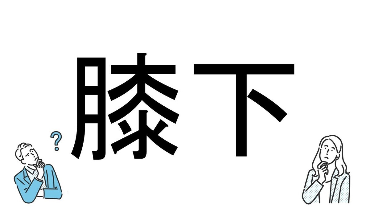 【社会人必読!?】読めそうで読めない漢字クイズ 第202回 【難易度4】なんと読むでしょう!? - "ひざした"以外の読み方とは?