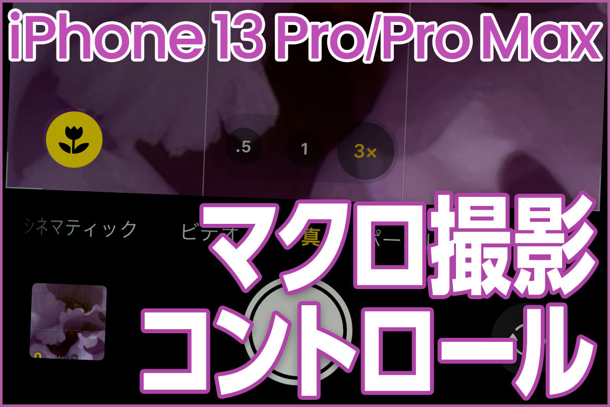 iPhone基本の「き」 第479回 iPhone 13 Proの「マクロ撮影」と「マクロ撮影コントロール」の使い方