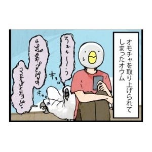 漫画「いたずらオウムの生活雑記」 第106回 オウムの小言