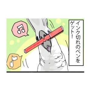 漫画「いたずらオウムの生活雑記」 第111回 解体は進めるものの……