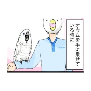 漫画「いたずらオウムの生活雑記」 第115回 不用意にオモチャを見せてはいけない