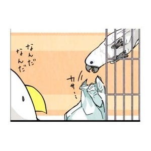 漫画「いたずらオウムの生活雑記」 第124回 ですよね