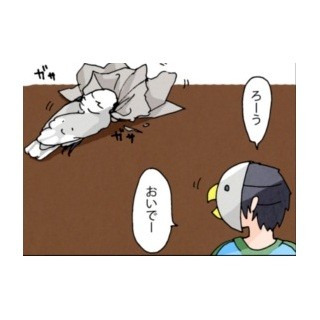 漫画「いたずらオウムの生活雑記」 第13回 名前を呼ぶよりおもちゃが効果的