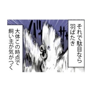 漫画「いたずらオウムの生活雑記」 第137回 もう寝るぞアピール