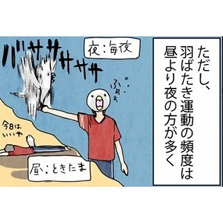 漫画「いたずらオウムの生活雑記」 第139回 羽ばたき