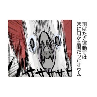 漫画「いたずらオウムの生活雑記」 第146回 全開だった口が