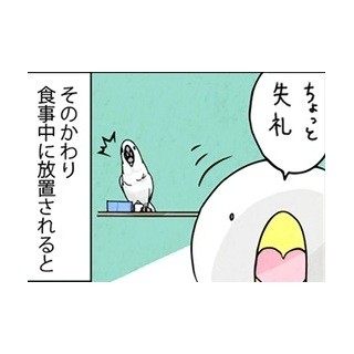 漫画「いたずらオウムの生活雑記」 第158回 食事中注目されるのはウェルカム