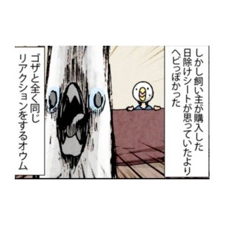 漫画「いたずらオウムの生活雑記」 第168回 恐怖の対象となる模様