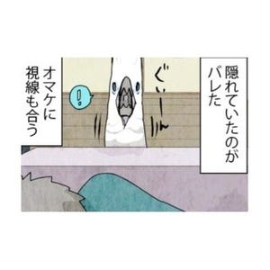 漫画「いたずらオウムの生活雑記」 第183回 オウムから隠れてみた