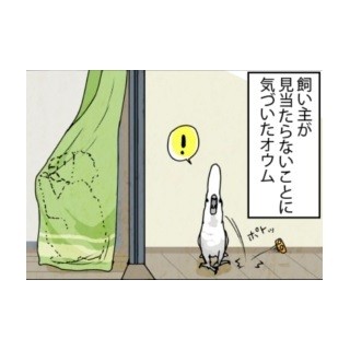 漫画「いたずらオウムの生活雑記」 第184回 一人遊びが捗る条件