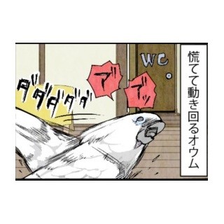 漫画「いたずらオウムの生活雑記」 第198回 姿が見えれば安心