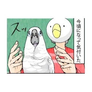 漫画「いたずらオウムの生活雑記」 第203回 今頃気づいた