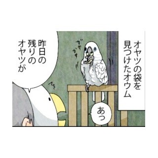 漫画「いたずらオウムの生活雑記」 第209回 オヤツの袋、発見