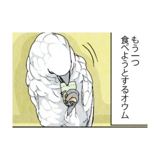 漫画「いたずらオウムの生活雑記」 第210回 いつの間にあんな知恵を