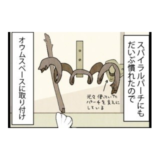 漫画「いたずらオウムの生活雑記」 第229回 オウムスペースに取り付け