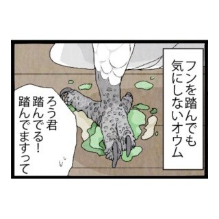 漫画「いたずらオウムの生活雑記」 第233回 気にしないオウム