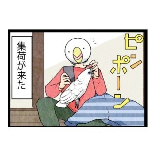 漫画「いたずらオウムの生活雑記」 第236回 集荷がきた