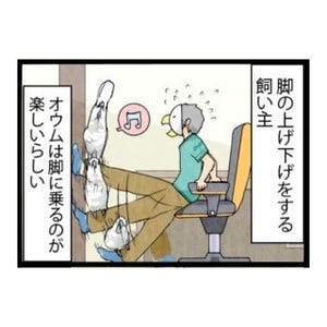 漫画「いたずらオウムの生活雑記」 第248回 意外とスパルタ