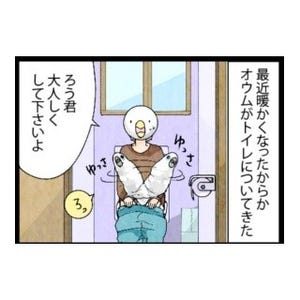 漫画「いたずらオウムの生活雑記」 第260回 トイレに大興奮