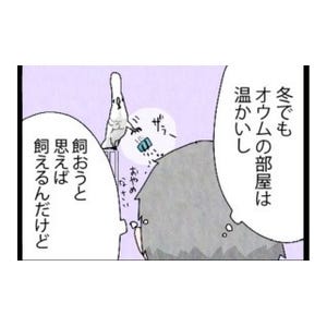 漫画「いたずらオウムの生活雑記」 第264回 やっぱり保留