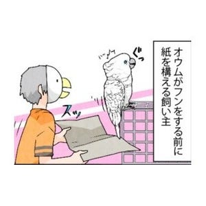 漫画「いたずらオウムの生活雑記」 第296回 妙なところで我慢