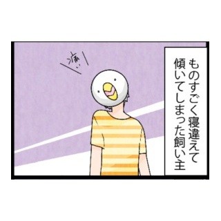 漫画「いたずらオウムの生活雑記」 第297回 飼い主です