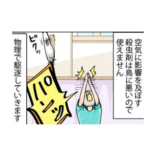 漫画「いたずらオウムの生活雑記」 第298回 流石に不可抗力