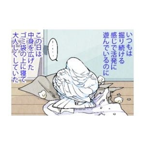 漫画「いたずらオウムの生活雑記」 第301回 ゴミ袋漁り