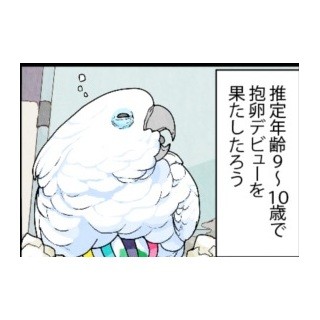 漫画「いたずらオウムの生活雑記」 第305回 見積もりが甘い