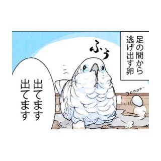 漫画「いたずらオウムの生活雑記」 第309回 確かめてみる