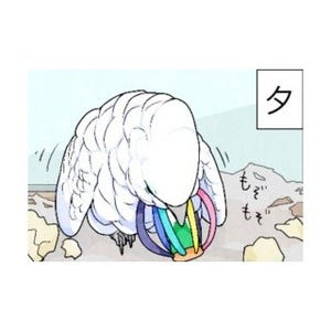 漫画「いたずらオウムの生活雑記」 第311回 これもしかして