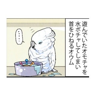 漫画「いたずらオウムの生活雑記」 第321回 完全に乾いてないと