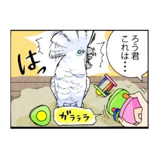 漫画「いたずらオウムの生活雑記」 第341回 目標が複数あると