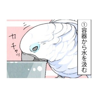 漫画「いたずらオウムの生活雑記」 第345回 空になるまで