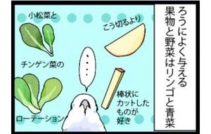 漫画「いたずらオウムの生活雑記」 第349回 条件を満たさないブドウ