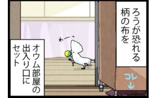 漫画「いたずらオウムの生活雑記」 第352回 思い込みを利用