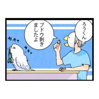 漫画「いたずらオウムの生活雑記」 第353回 トイレ