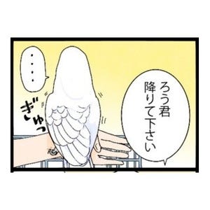 漫画「いたずらオウムの生活雑記」 第356回 裏返し