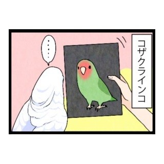 漫画「いたずらオウムの生活雑記」 第358回 他は興味持たないのに