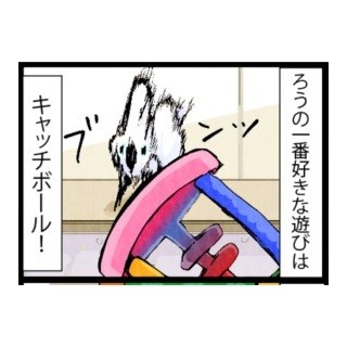 漫画「いたずらオウムの生活雑記」 第368回 一番好きな遊び