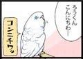 漫画「いたずらオウムの生活雑記」 第371回 話せばいい