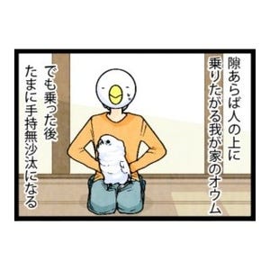 漫画「いたずらオウムの生活雑記」 第387回 強制的に巻き込む