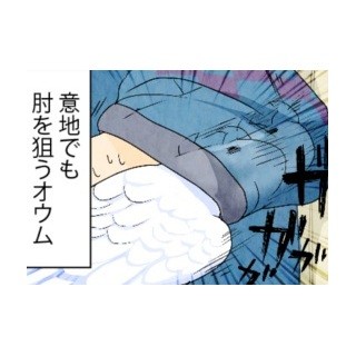 漫画「いたずらオウムの生活雑記」 第392回 意地でも肘を狙う